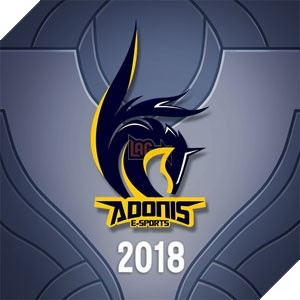 Cube Adonis Esport