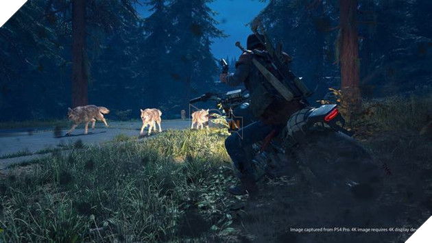 Các sinh vật hoang dã trong Days Gone 2 cũng cực kì nguy hiểm