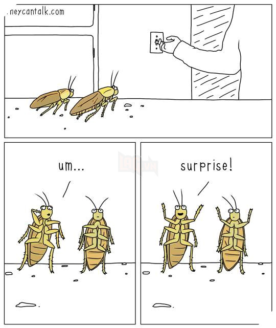 16427513_727556617411493_1088047155936883432_n 16427513 727556617411493 1088047155936883432 n