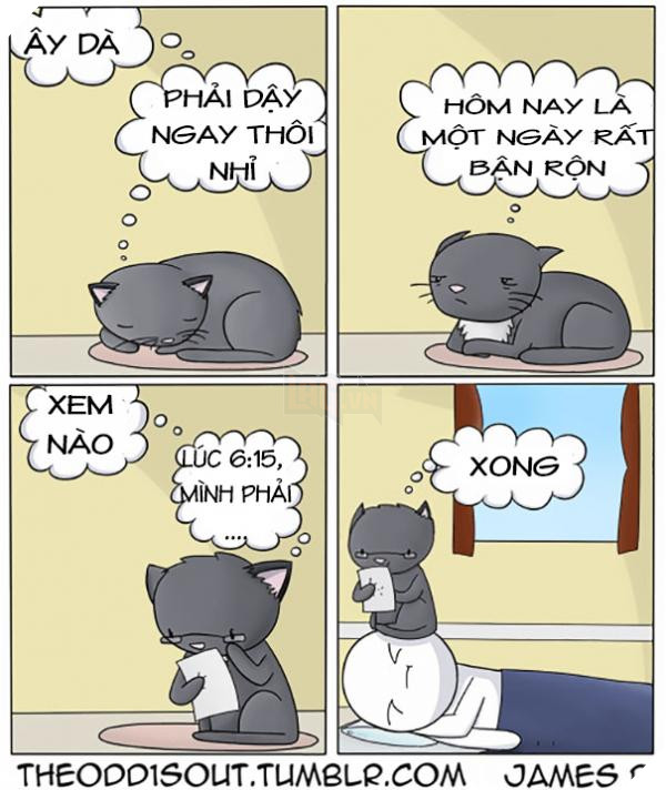 funny-odd-comics-theodd1sout-88-594933606a324__605 funny odd comics theodd1sout 88 594933606a324 605