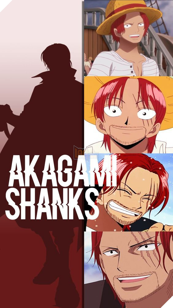Các nhân vật trong One Piece đã dậy thì thành công như thế nào? - Ảnh 5. Các nhân vật trong One Piece đã dậy thì thành công như thế nào? - Ảnh 5.
