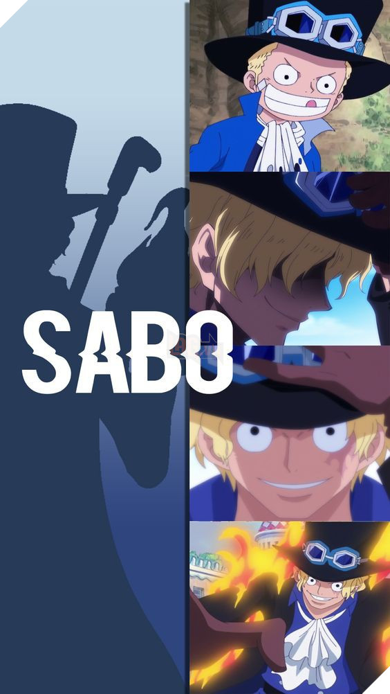 Các nhân vật trong One Piece đã dậy thì thành công như thế nào? - Ảnh 6. Các nhân vật trong One Piece đã dậy thì thành công như thế nào? - Ảnh 6.