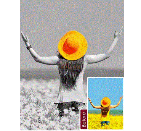 Color Pop Effects: Sửa màu ảnh trên iPhone  3