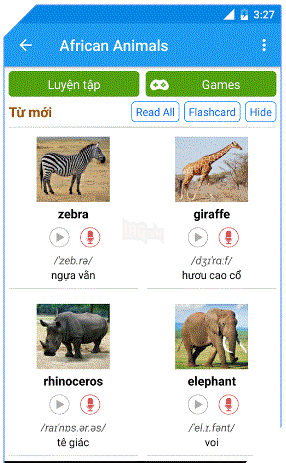 English through pic - từ vựng tiếng anh qua hình ảnh.  3