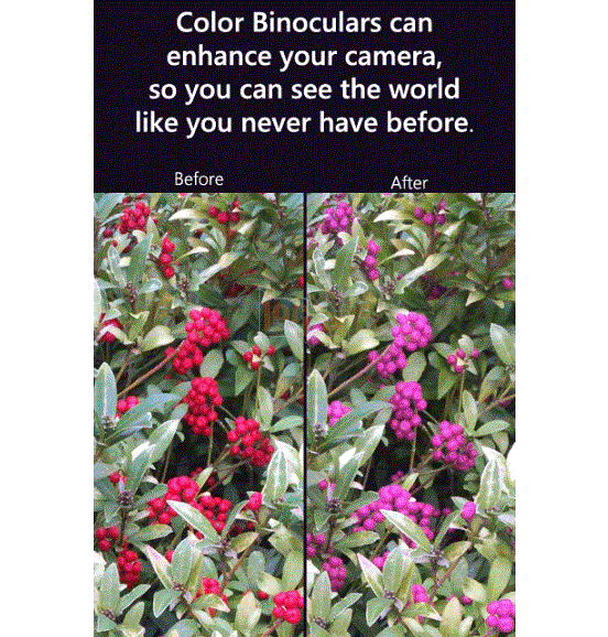 Microsoft tung ra ứng dụng hỗ trợ người bị mù màu