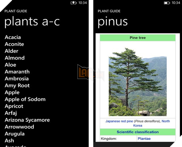 Plant Guide cho Windows Phone 8 - Ứng dụng tốt nhất để xác định tên thực vật cây cối 3