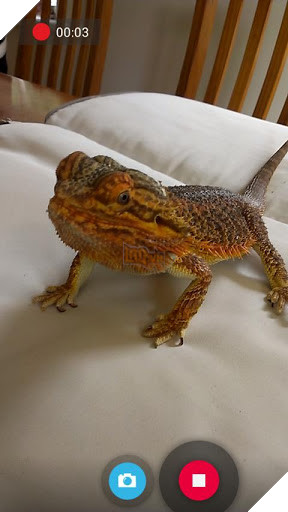 Snap Camera - trải nghiệm camera tuyệt vời cho smartphone Android 2