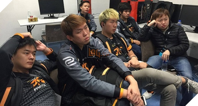 fnatic copy
