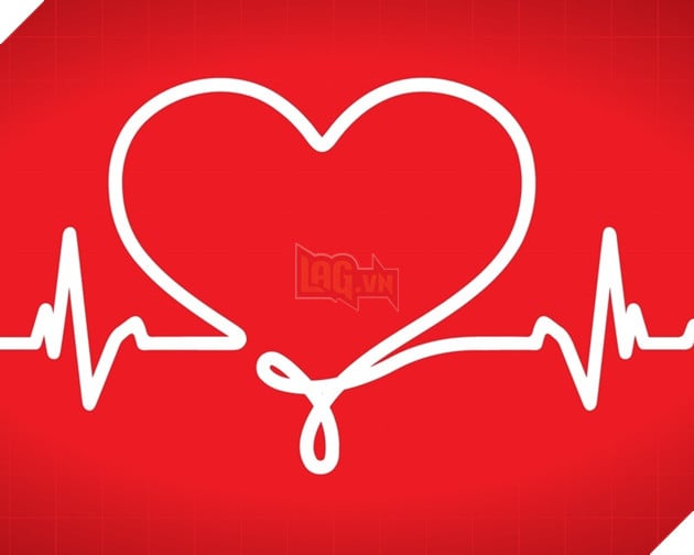 đo nhịp tim