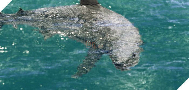 Crysis sau 8 năm ra mắt vẫn đẹp tuyệt vời nhờ mod 6