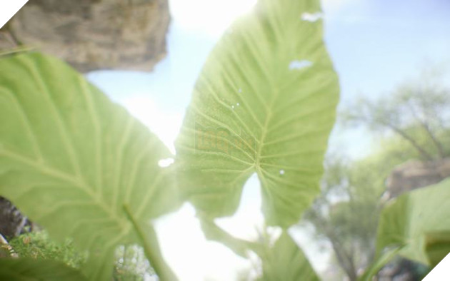 Crysis sau 8 năm ra mắt vẫn đẹp tuyệt vời nhờ mod 3