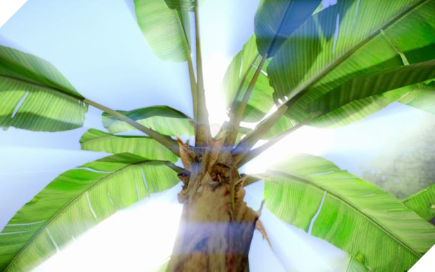 Crysis sau 8 năm ra mắt vẫn đẹp tuyệt vời nhờ mod 2