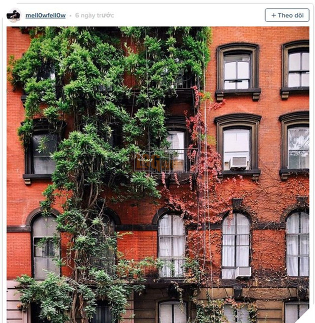 9 ứng dụng sẽ giúp bạn nổi tiếng trên Instagram 5