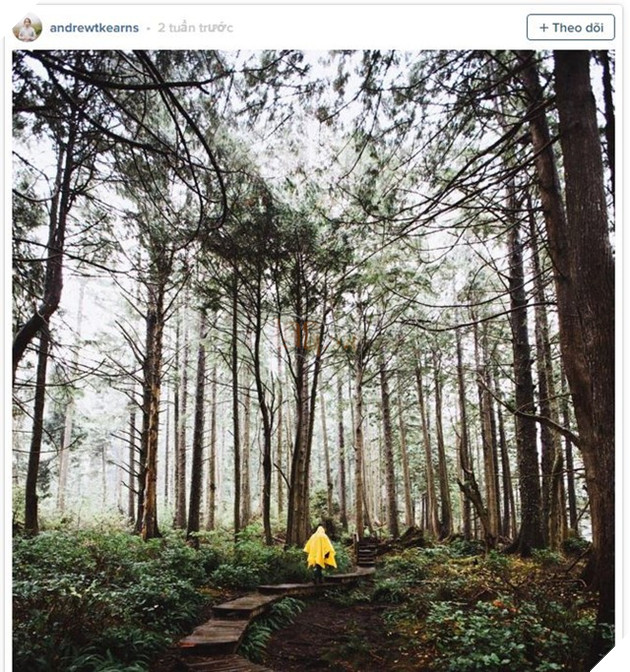 9 ứng dụng sẽ giúp bạn nổi tiếng trên Instagram 10