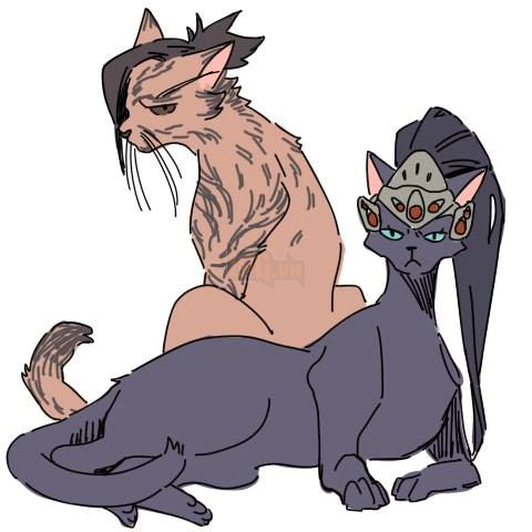 
Hanzo và Widowmaker
