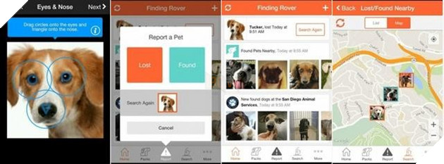 Ứng dụng giúp thú cưng đi lạc tìm lại được chủ nhân 2