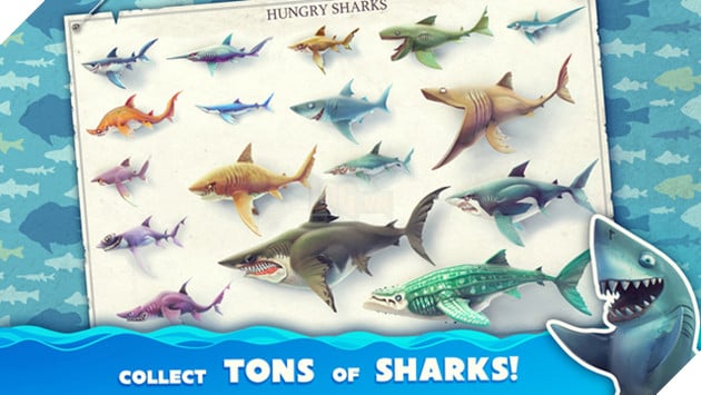 Hungry Shark - Cá mập điên trở lại, lợi hại hơn xưa