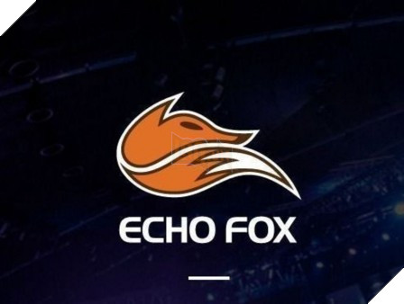 echo-fox-1