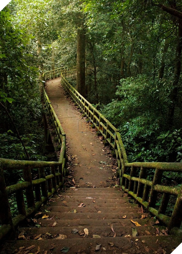 Game thủ, hãy rời bàn phím để đến với những thiên đường y hệt thế giới game này