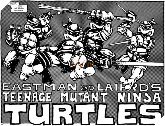 Nhìn lại quá trình biến đổi của bốn Ninja Rùa từ những năm 80 tới nay