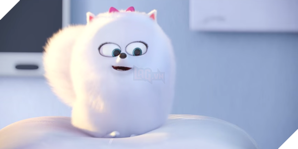 
Jenny Slate lồng tiếng vai Gidget
