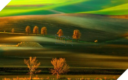 natural-16-1452281304694