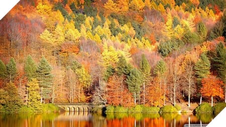 natural-20-1452281304714