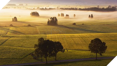 natural-2-1452281304597