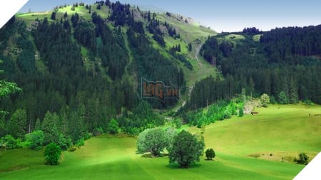 natural-21-1452281304592