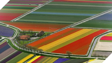 Bộ sưu tập hình nền phong cảnh tuyệt đẹp dành cho người yêu thiên nhiên 10