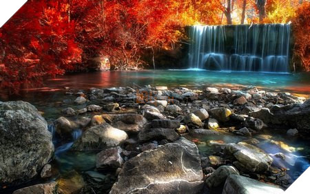 natural-7-1452281304724