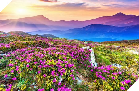 natural-4-1452281304686