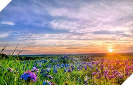 natural-15-1452281304702