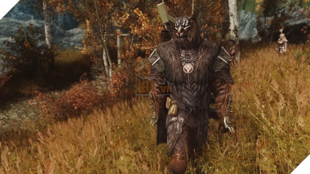 Skyrim: Những bản Mod nên xuất hiện trong Special Edition 4