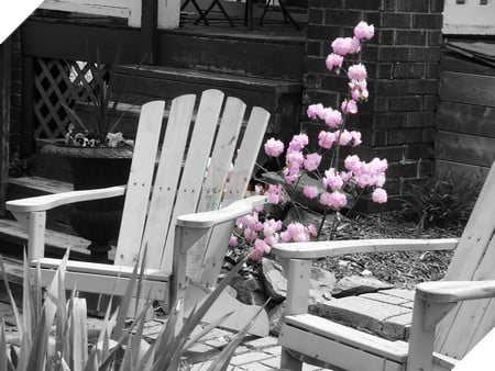 Hình ảnh trước và sau khi được xử lý bằng tính năng Splash