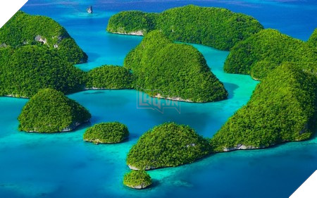 Phạm Thế Quang Huy