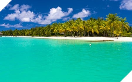 Phạm Thế Quang Huy