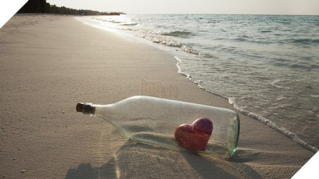 Phạm Thế Quang Huy