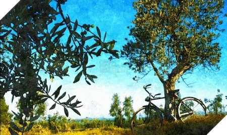 Phạm Thế Quang Huy