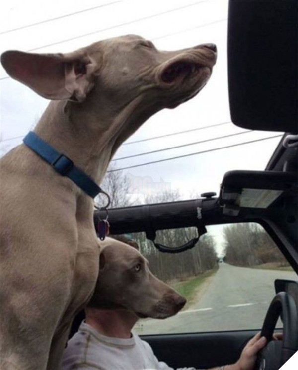 Đưa em đi chơi xa. (Ảnh: Internet)