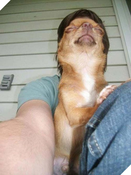 Nào ta cùng selfie! (Ảnh: Internet)