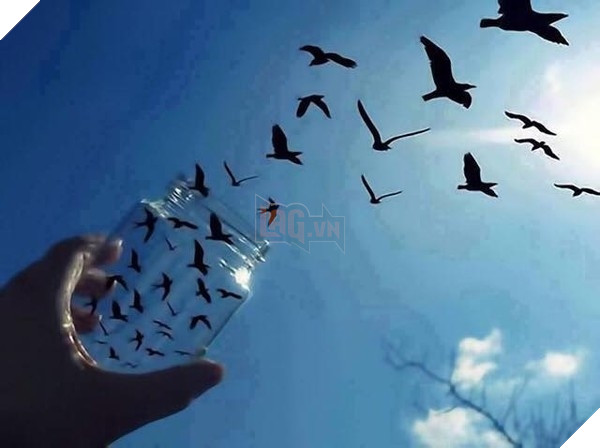 Ước mơ làm chủ cả bầu trời. (Ảnh: Internet)