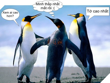 Một hình ảnh với các bong bóng đàm thoại do iPhotoDraw tạo ra