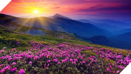 Phạm Thế Quang Huy