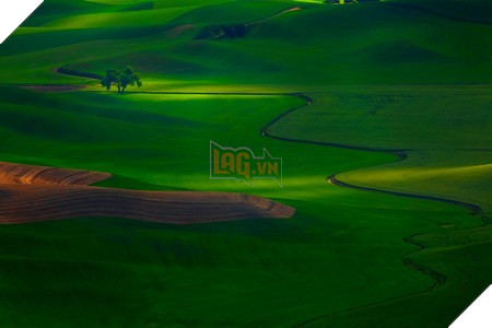 Phạm Thế Quang Huy