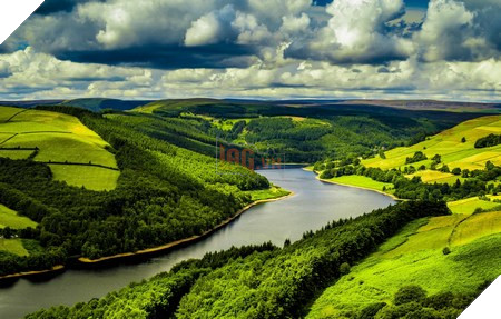 Phạm Thế Quang Huy