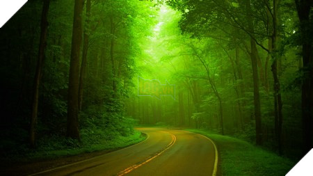 Phạm Thế Quang Huy