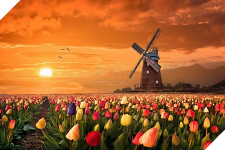 Phạm Thế Quang Huy