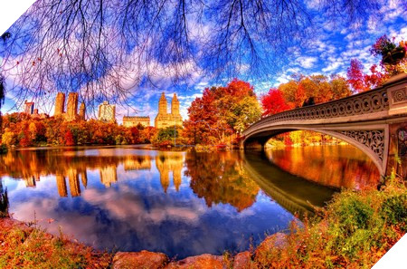 Phạm Thế Quang Huy