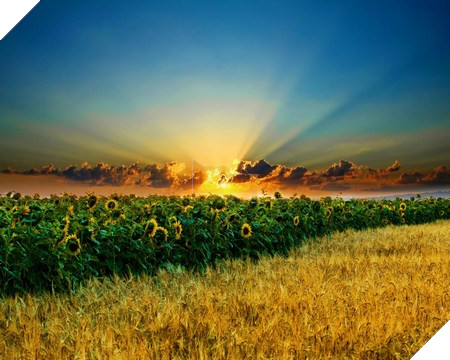 Phạm Thế Quang Huy